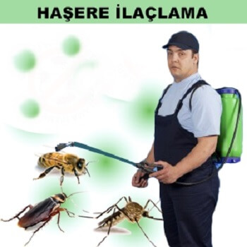 Taraklı Böcek İlaçlama